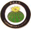 imitation enamel